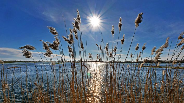 Überflutete Felder und Wiesenflächen bei Friesack, Brandenburg (Quelle: IMAGO | Rolf Walter) Überflutete Felder und Wiesenflächen bei Friesack, Brandenburg (Quelle: IMAGO | Rolf Walter)