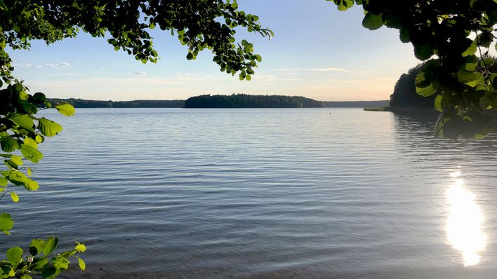 Blick vom Ufer über den Stechlinsee in Brandenburg (Quelle: Fritz/Valentin Brückner)