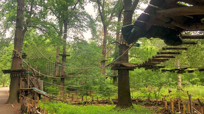 Der Waldhochseilgarten in Jungfernheide (Quelle: Fritz/Valentin Brückner) Der Waldhochseilgarten in Jungfernheide (Quelle: Fritz/Valentin Brückner)