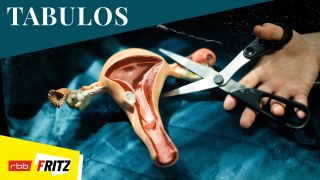 Zu sehen ist ein 3D Modell des weiblichen Uterus und eine Schere, die den linken Eierstock durch schneidet. (Bildquelle: Lilly Extra | Fritz)